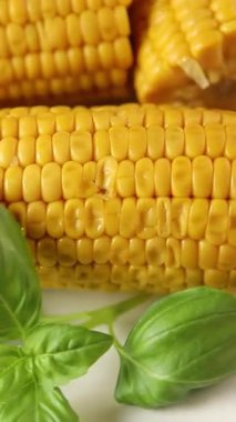 Mısır koçanı yiyeceği, abur cubur, sebze, lezzetli gurme yemek arkaplanı, kırsal yiyecekler, fotokopi alanı.