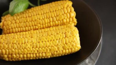 Mısır koçanı yiyeceği, abur cubur, sebze, lezzetli gurme yemek arkaplanı, kırsal yiyecekler, fotokopi alanı.