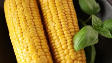 Mısır koçanı yiyeceği, abur cubur, sebze, lezzetli gurme yemek arkaplanı, kırsal yiyecekler, fotokopi alanı.