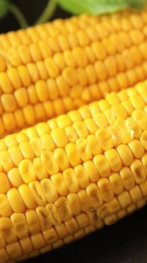 Mısır koçanı yiyeceği, abur cubur, sebze, lezzetli gurme yemek arkaplanı, kırsal yiyecekler, fotokopi alanı.