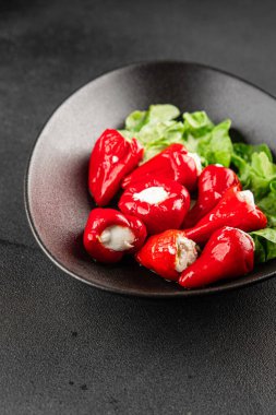 Acı biber peyniri turşuyu sebze turşusu aperatifi taze lezzetli gurme vejetaryen arkaplan masa üzerinde kırsal yemek üst görünüm fotokopi alanı keto ve paleo diyeti