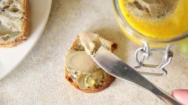 Foie gras kaz ciğeri iştah açıcı leziz lezzetli gurme yemek arkaplanı masa kırsal gıdanın üstünde fotokopi alanı