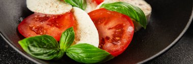 Caprese salatası mozzarella ve domates, fesleğen taze lezzetli gurme yemek arkaplan masa üzerinde rustik gıda üst görünüm fotokopi alanı keto ve paleo diyet vegan ve vegan gıda