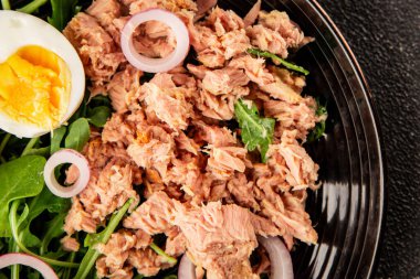 Ton balığı salatası yumurtası, roka, sebze lezzetli aperatif lezzetli lezzetli gurme yemek arkaplanı masa üstü yemekleri fotokopi alanı keto ve paleo diyeti pesseeter diyeti.