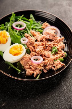 Ton balığı salatası yumurtası, roka, sebze lezzetli aperatif lezzetli lezzetli gurme yemek arkaplanı masa üstü yemekleri fotokopi alanı keto ve paleo diyeti pesseeter diyeti.