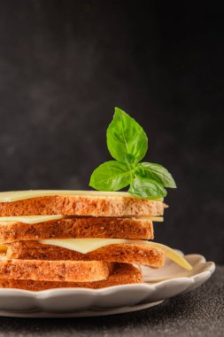 Sandviç, peynir, atıştırmalık taze lezzetli gurme yemek arkaplanı, masanın kırsal kesiminde fotokopi alanı.