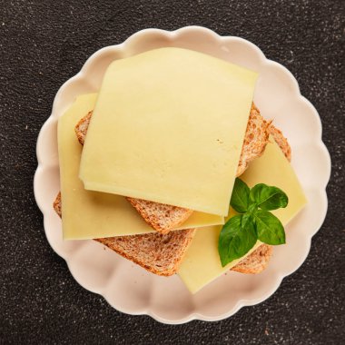 Sandviç, peynir, atıştırmalık taze lezzetli gurme yemek arkaplanı, masanın kırsal kesiminde fotokopi alanı.