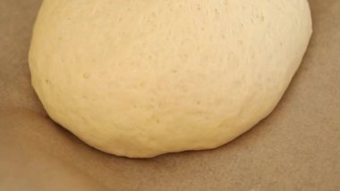 Hamur hamuru mayası, un, su lezzetli aperatif taze lezzetli gurme yemek arkaplanı masa kırsal yiyeceklerin üst görünümü fotokopi alanı