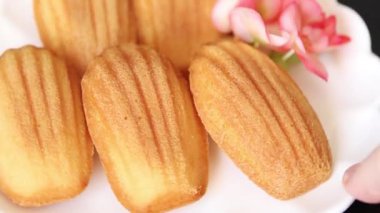 Madeleine kurabiyeleri tatlı tatlı Fransız tatlıları lezzetli aperatifler lezzetli gurme yemek arkaplanı masanın kırsal kesiminde fotokopi alanı