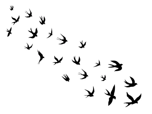 Swallows Black Silhouette White Background Silhouette Swarm Swallows Black Contours — стоковый вектор