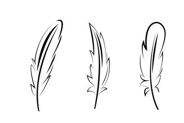 Kuş tüyleri grafik seti, beyaz arkaplanda izole