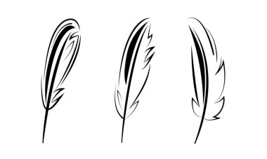 Kuş tüyleri grafik seti, beyaz arkaplanda izole