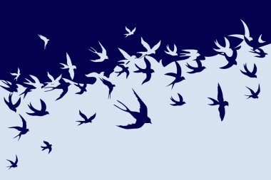 Kuşların vektörsüz deseni