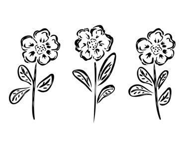 Çiçeklerin ve yaprakların beyaz üzerindeki vektör çizimi