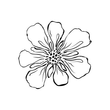 Beyaz arkaplanda izole edilmiş çizim çiçeği 