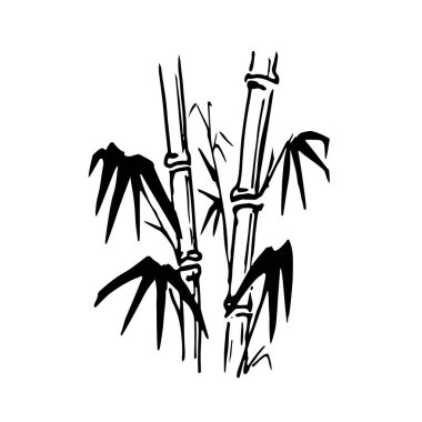 Siyah renkli bambu ağaçları, beyaz arkaplan 