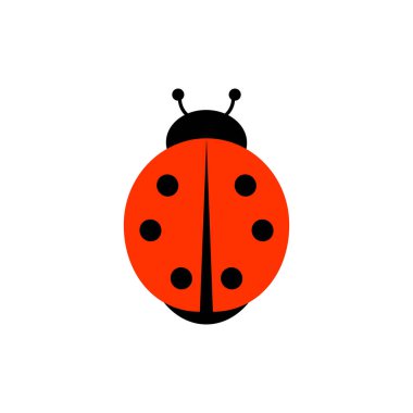 Beyaz arkaplanda uğur böceği simgesi. vektör illüstrasyonu.