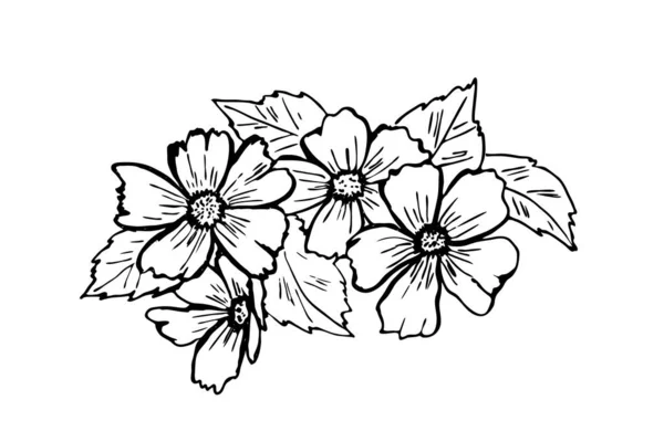 Esquisse Dessinée Main Fleurs Feuilles Isolées Sur Fond Blanc — Image vectorielle
