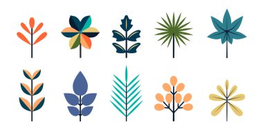 Soyut yapraklar, geometrik şekiller. Bahar ve yaz bitkileri. Düz botanik elementler. Beyaz arkaplanda vektör illüstrasyonu