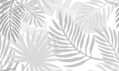 Modaya uygun tropikal desensiz çiçek deseni. Beyaz arka planda gri palmiye yapraklarının gölgeleri. Palmiye yaprağı silueti. Duvar kağıdı, tekstil ve perdeler için tropik baskı tasarımı