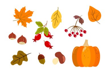 Sonbahar seti - meşe yaprağı, meşe palamudu, viburnum üzümü, kırmızı gül kalçası, sarı yapraklar, turuncu balkabağı, mantar. Basit bir şekilde illüstrasyon. Beyaz arkaplanda vektör tasarımı ögesi