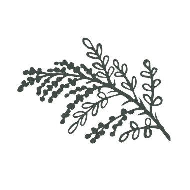 Abstract drawing of a plant branch with leaves and small flower buds. Monochrome vector botanical element drawn by hand on a transparent background for your design. 