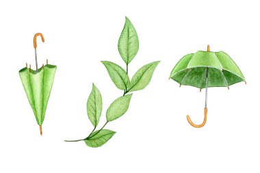 Watercolor Elements For St. Patricks Day. Illustration isolated on a white background. Green Umbrellas and Twig clipart