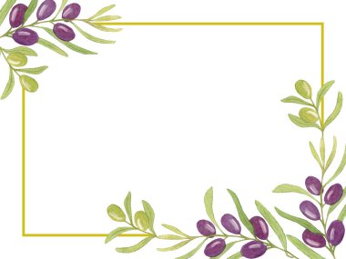 Watercolor Card with Black Olive Branches. Illustration Hand drawn. Olive berries on a branch. Design for Greeting, Menu, Postcard