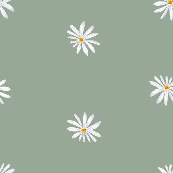 Watercolor seamless floral pattern. Illustration Flowers Daisies drawn by hand. Spring botanical print Floral texture for textile and fashion design.