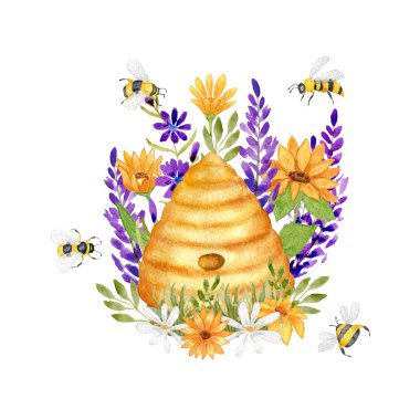 Watercolor illustration with a wild Beehive in Lavender, Chamomile and Sunflower flowers. Bees, wild flowers and grass. Design for products with honey. Isolated on a white background