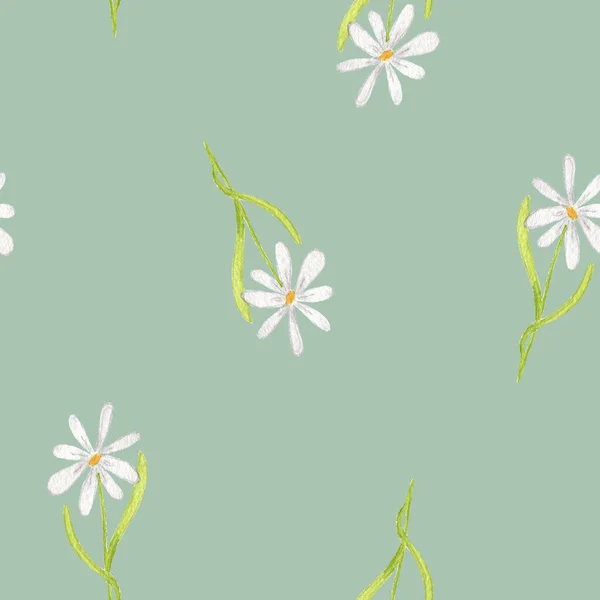 Watercolor seamless floral pattern. Illustration Flowers Daisies drawn by hand. Spring botanical print