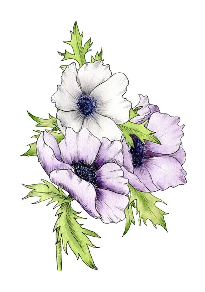 Акварельний Букет Квітами Анемони Фіолетові Білі Ніжні Анемони Аранжування Квітів — стокове фото
