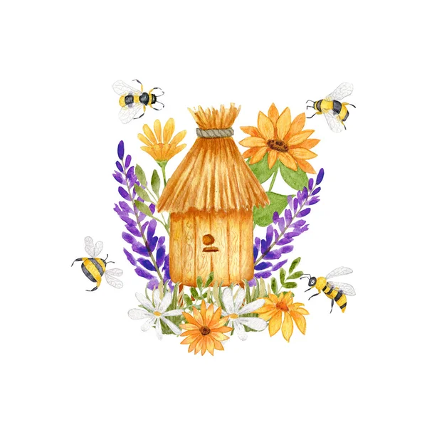 Aquarell Illustration Mit Bienenstock Aus Holz Lavendel Und Sonnenblumenblüten Bienen — Stockfoto