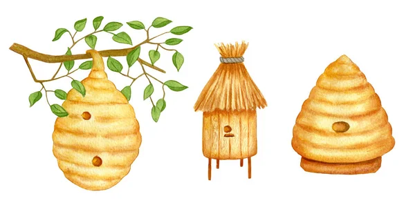 Zestaw Uli Pszczół Akwarela Drewniany Dziki Gałęzi Drzewa Ilustracja Jest — Zdjęcie stockowe