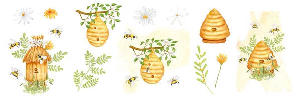 Ilustracja Zestawu Akwareli Temat Pszczelarstwa Pszczoła Drewniany Słomianym Dachem Trawie — Zdjęcie stockowe