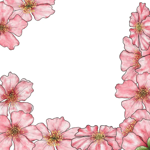 采购产品邀请函 横幅与水彩画粉红色的樱花 空白模板 手绘有花的正方形框架 — 图库照片