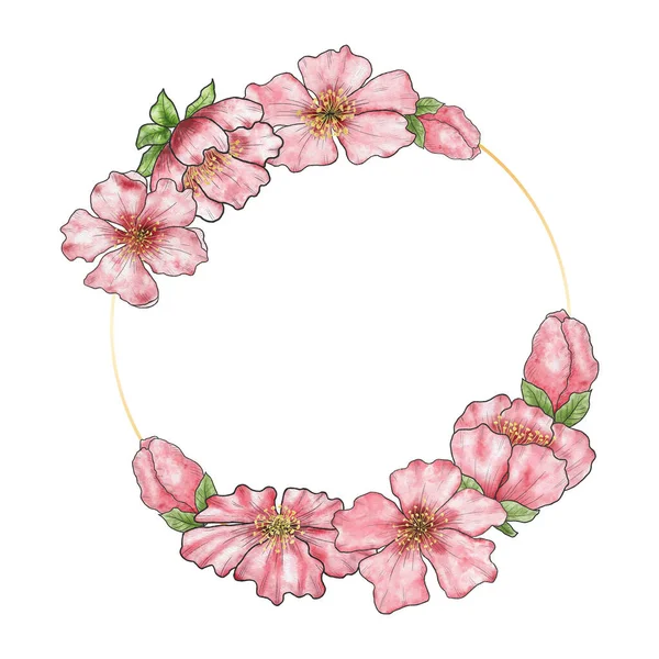 采购产品邀请函 横幅与水彩画粉红色的樱花 空白模板 手绘有花的圆形框架 — 图库照片