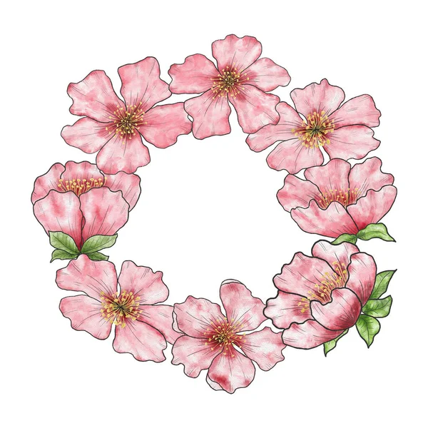 采购产品邀请函 横幅与水彩画粉红色的樱花 空白模板 手绘有花的圆形框架 — 图库照片