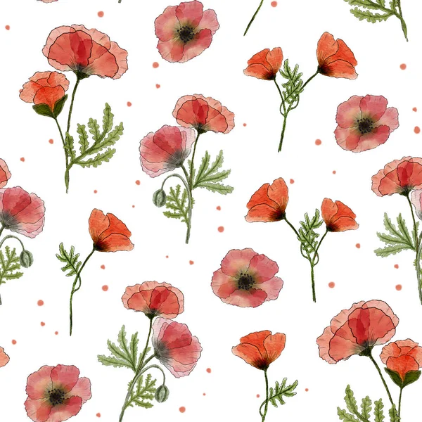 Aquarel Naadloos Patroon Met Rode Papaver Bloemen Met Hand Getekend — Stockfoto