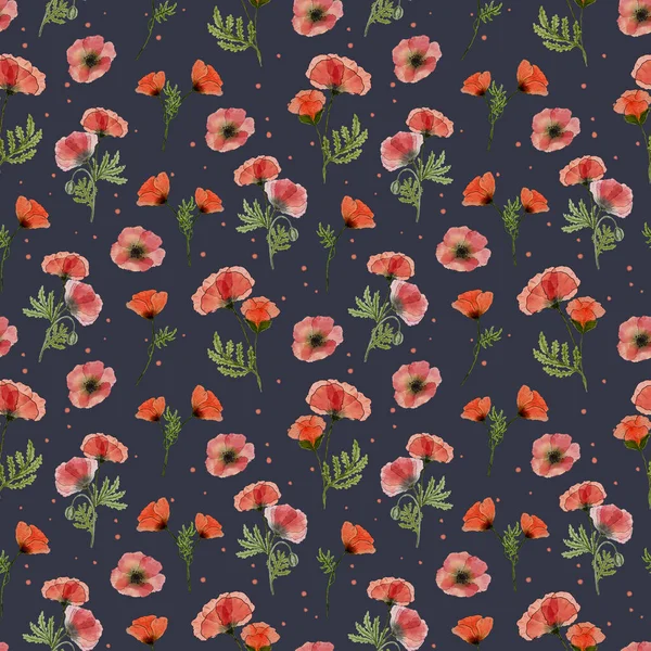 Akvarel Sømløse Mønster Med Red Poppy Blomster Håndtegnet Sommer Illustration - Stock-foto