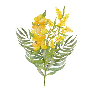 Bir buket sarı çiçek. Narin, parlak sarı çiçeklerden oluşan bir kompozisyon. Kartpostal, selam, davetiye. Beyaz arka planda izole çiçekler