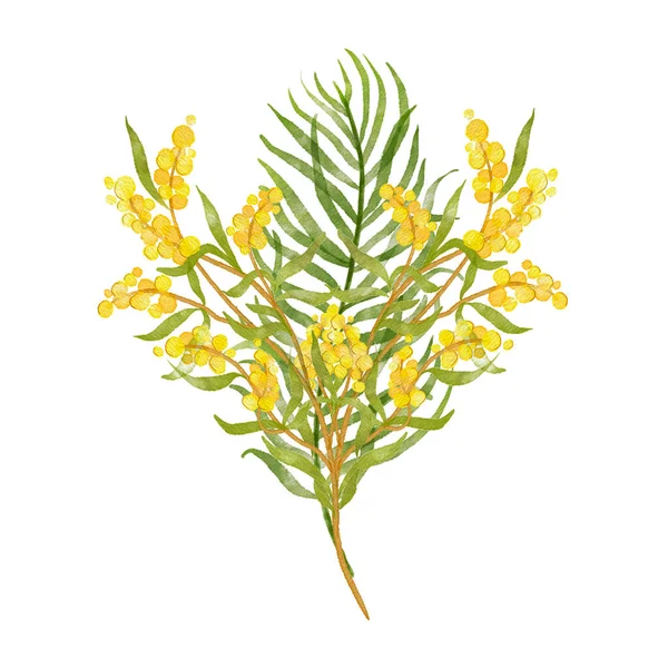 Bir buket sarı çiçek. Narin, parlak sarı çiçeklerden oluşan bir kompozisyon. Kartpostal, selam, davetiye. Beyaz arka planda izole çiçekler