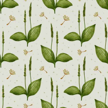 Bitki ve karahindiba. Karahindiba ve muz ile kusursuz desen. Kozmetik ve tıbbi ambalaj, tekstil, kırtasiye ve yapıştırma kitabı için