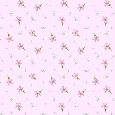 Çiçek deseni. Vahşi kır çiçekli, pembe çiçekli kusursuz bir desen. Çiçek açar. Çizim ve renk tarzında illüstrasyon. Çizgi ve karalama. Tekstil, ambalaj, kağıt, hatıra defteri için yaz tasarımı