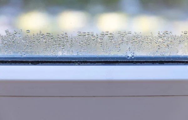 Water condensation on a window inside of a room during cold winter and warm room air, danger of mold growth