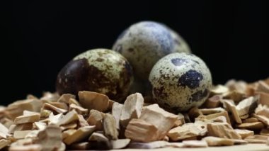 Yumuşak ahşap talaşlarında dinlenen bir bıldırcın yumurtası kümesi. Yaratıcı projeler için mükemmel.