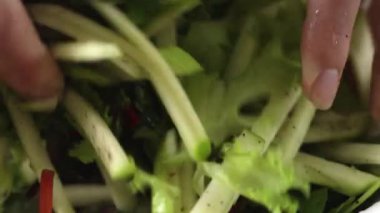 Sağlıklı bir yemek için çeşitli yeşil sebzeler ve kıtır marullardan yapılmış taze salatayı ustalıkla karıştırmak.