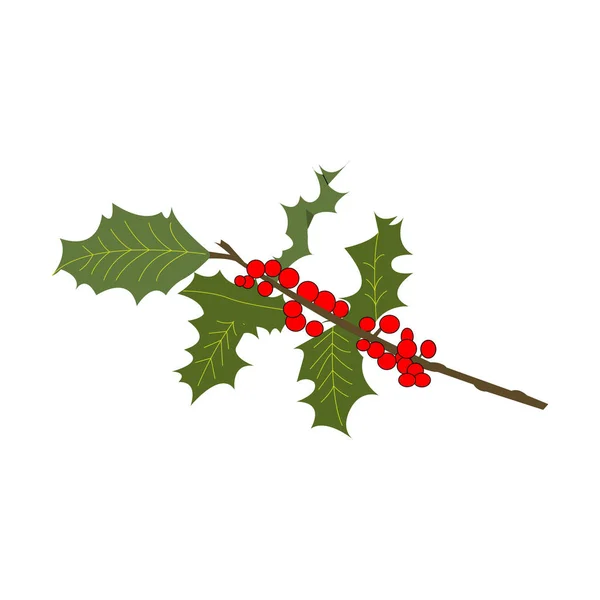 Weihnachten Stechpalme Beeren Isoliert Auf Weißem Hintergrund — Stockvektor