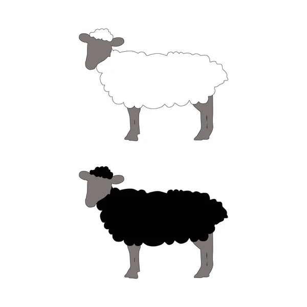 Moutons Blancs Noirs — Image vectorielle