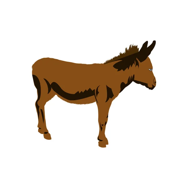 stock vector graphic of a donkey mule isolated on white background.